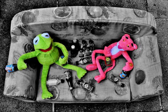 kermit-2806001_1920 (1)